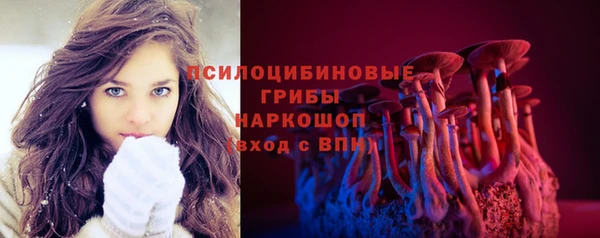 скорость Белокуриха