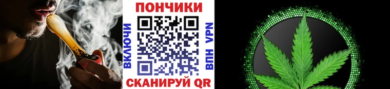 Каннабис планчик  Дагестанские Огни 